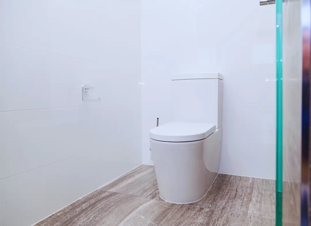 Remplacement de wc Monteux